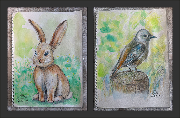 絵画教室で描いた絵