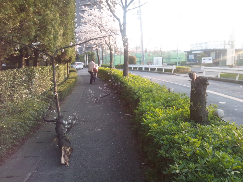 f:id:SuperWhiteArrow:20150330171746j:image f:id:SuperWhiteArrow:20150330171746j:image