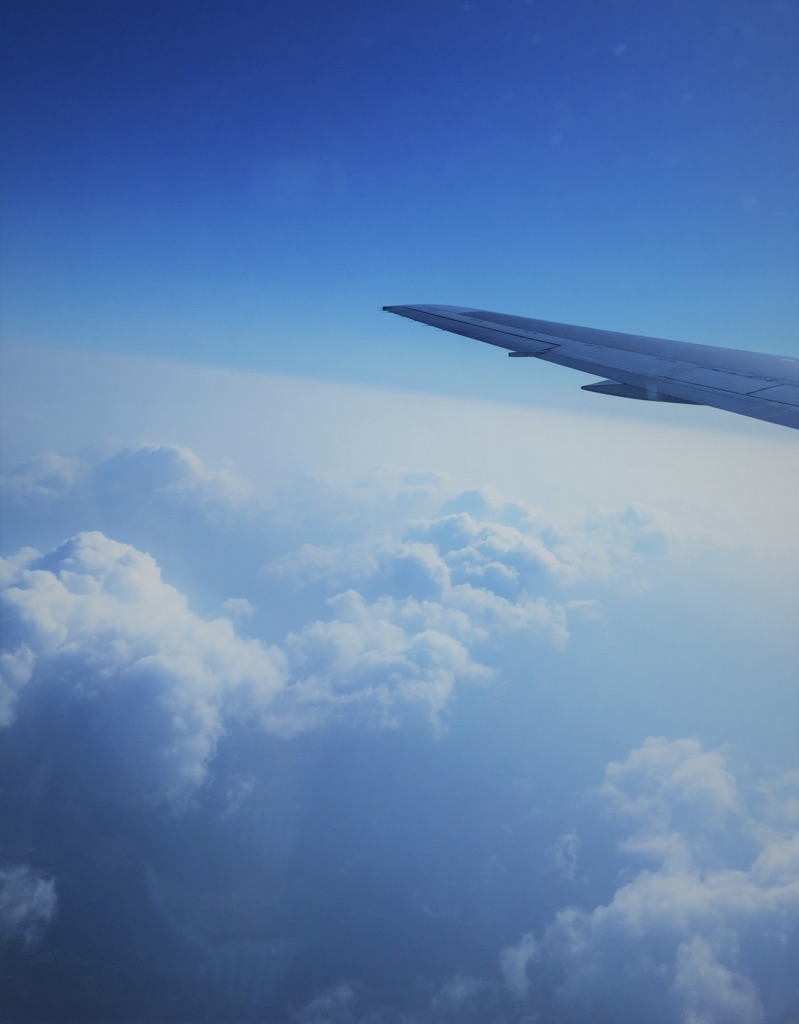 f:id:SurfGreen:20200913015121j:image f:id:SurfGreen:20200913015121j:image