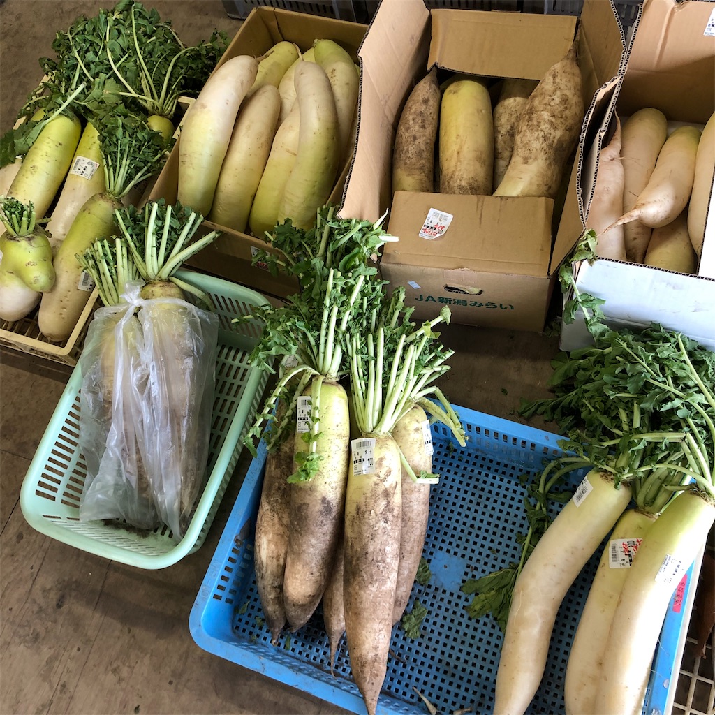 f:id:SurfandSake:20191202131225j:image