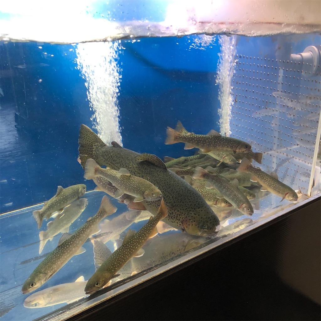 軽井沢でドストライクの店 川魚料理 ゆうすげ 伊豆といづまでも 軽井沢でドストライクの店 川魚料理 ゆうすげ 伊豆といづまでも