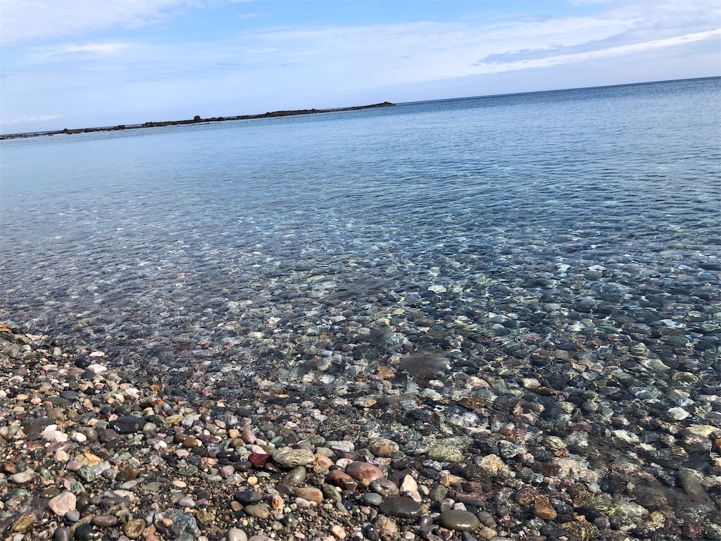 f:id:SusanTasan:20190716161220j:image f:id:SusanTasan:20190716161220j:image