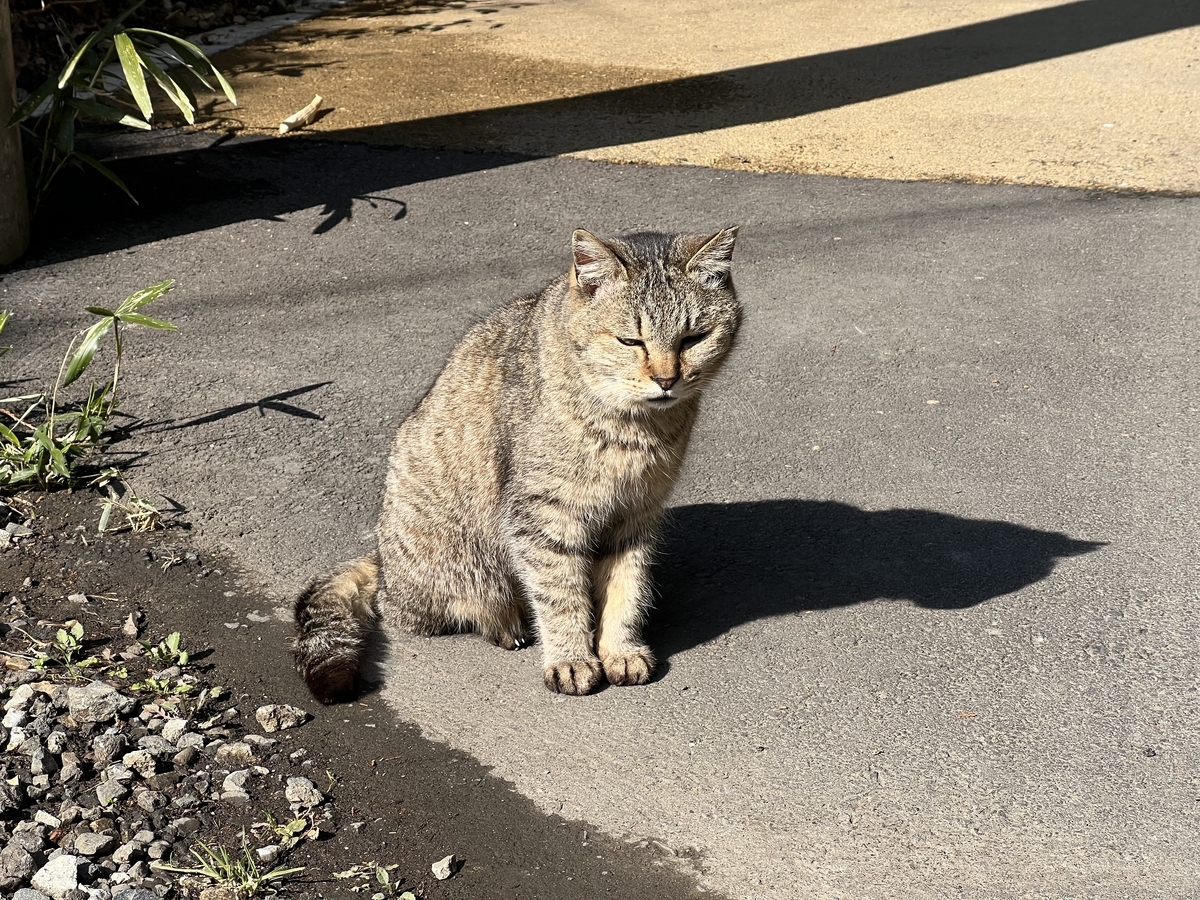 f:id:SushiKing:20220220190635j:plain
