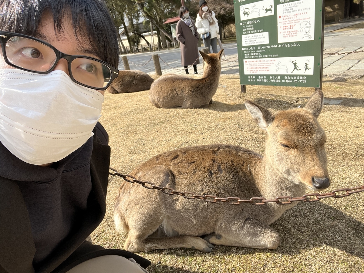 f:id:SushiKing:20220220195603j:plain