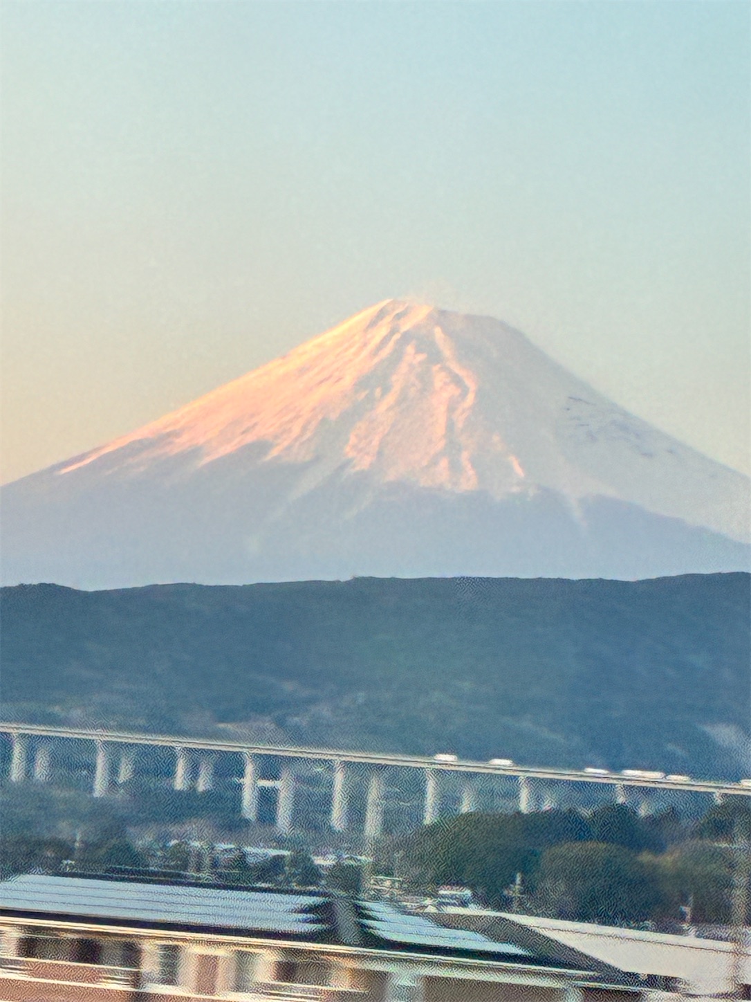 f:id:Sutera0211:20250322222831j:image f:id:Sutera0211:20250322222831j:image