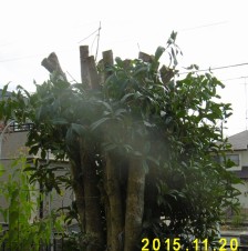 イメージ 2