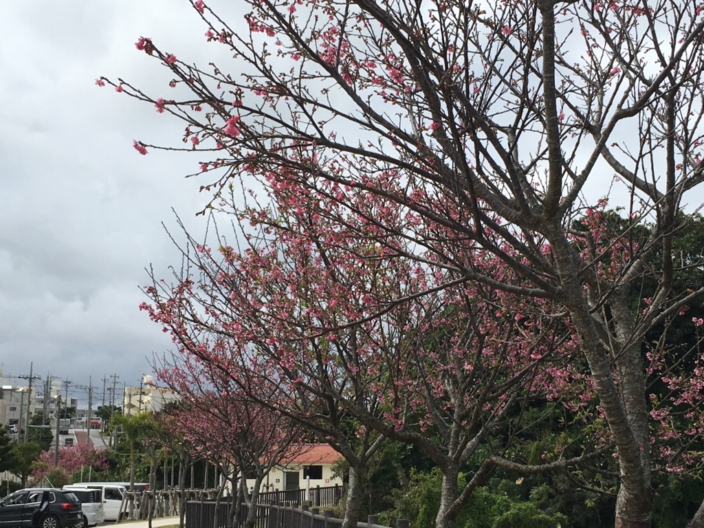 f:id:Suzukun:20180603173550j:plain f:id:Suzukun:20180603173550j:plain