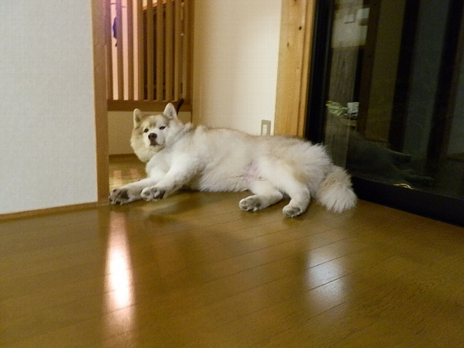 いにしえでくつろぐタイム