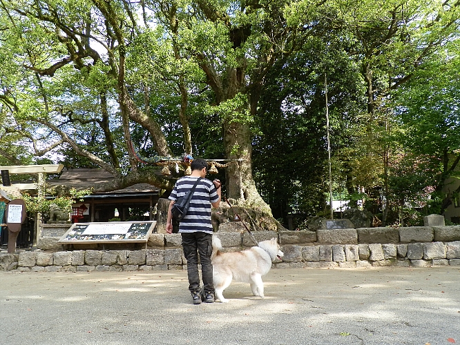 20120508140657