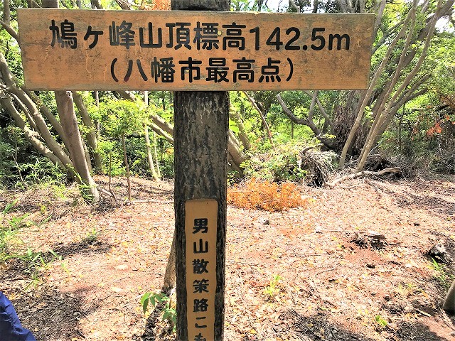 f:id:SweetFlower:20190702160748j:plain