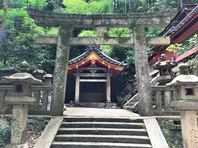 f:id:SweetFlower:20190702160920j:plain