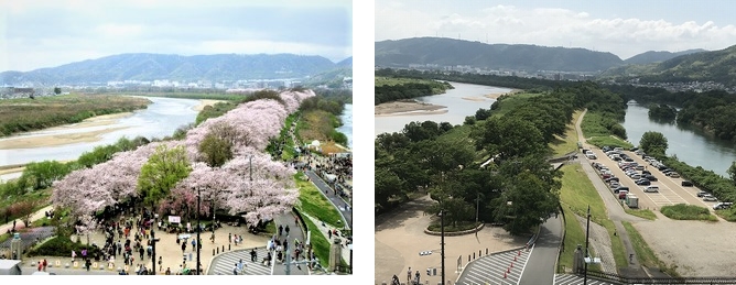 f:id:SweetFlower:20190702161055j:plain