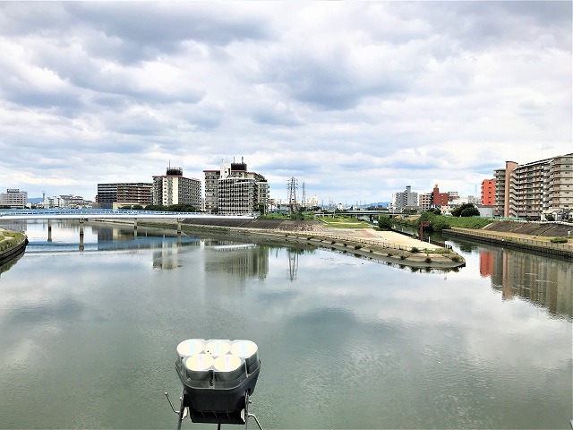 f:id:SweetFlower:20190711124311j:plain