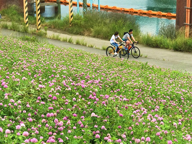 f:id:SweetFlower:20190711124502j:plain