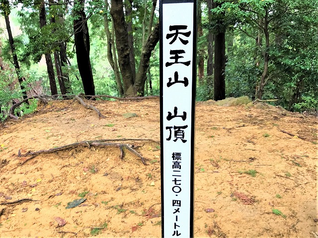 f:id:SweetFlower:20191028183815j:plain f:id:SweetFlower:20191028183815j:plain