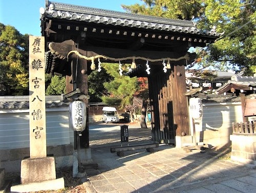 f:id:SweetFlower:20191028184723j:plain f:id:SweetFlower:20191028184723j:plain