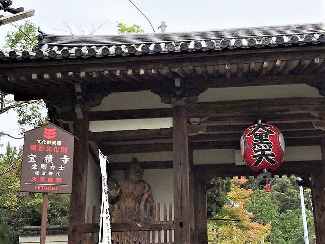 f:id:SweetFlower:20191028185404j:plain f:id:SweetFlower:20191028185404j:plain