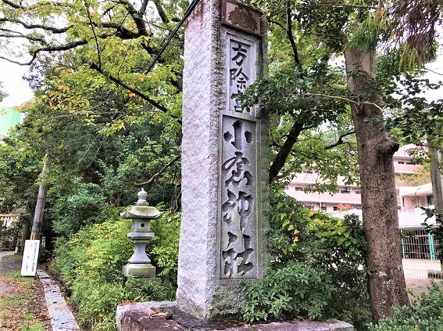 f:id:SweetFlower:20191028185526j:plain f:id:SweetFlower:20191028185526j:plain