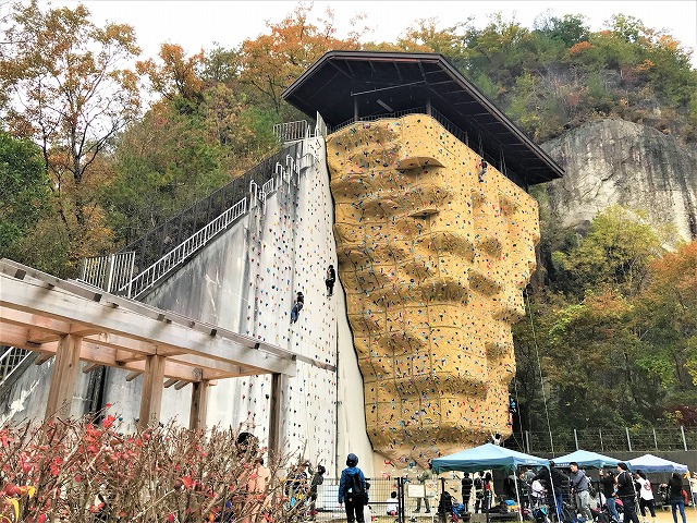 f:id:SweetFlower:20191129142540j:plain