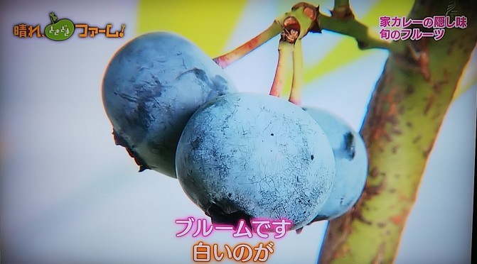 f:id:Swing:20180913122752j:image