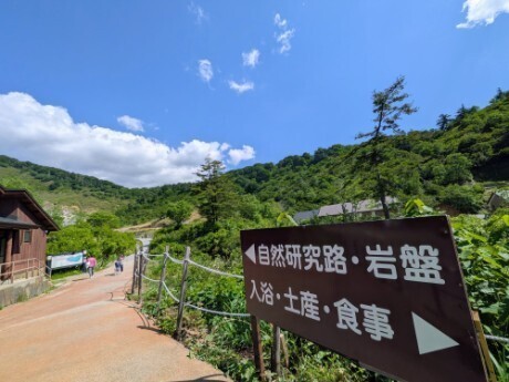 f:id:Swing:20260704175824j:image