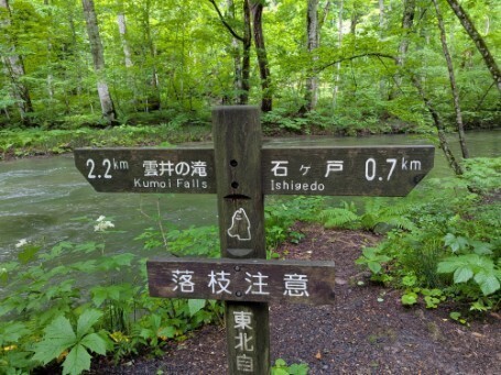 f:id:Swing:20260705162247j:image