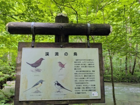 f:id:Swing:20260705162306j:image
