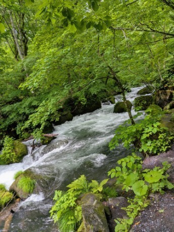 f:id:Swing:20260705162427j:image