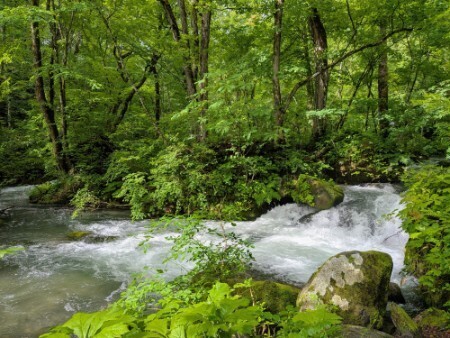 f:id:Swing:20260705162540j:image