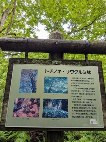 f:id:Swing:20260705162732j:image