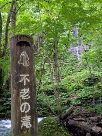 f:id:Swing:20260705162818j:image