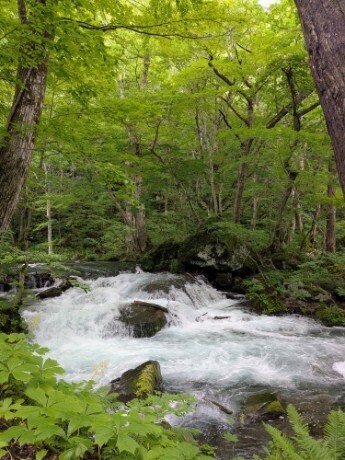 f:id:Swing:20260705163605j:image