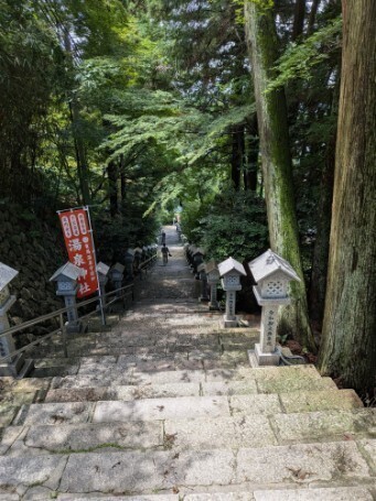 f:id:Swing:20260707213524j:image