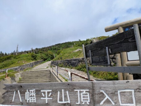 f:id:Swing:20260824190519j:image f:id:Swing:20260824190519j:image