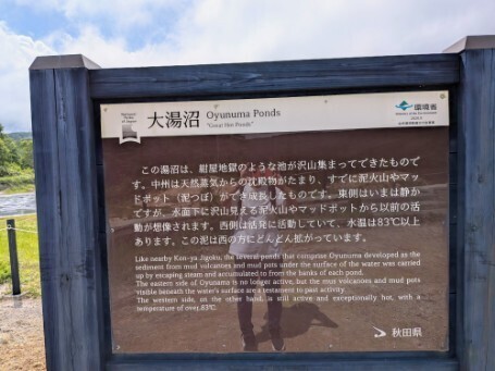 f:id:Swing:20260824203646j:image f:id:Swing:20260824203646j:image