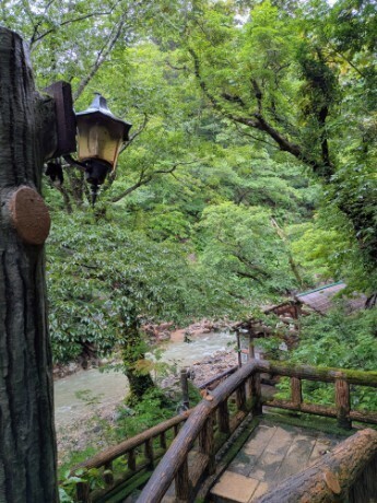 f:id:Swing:20260825151531j:image f:id:Swing:20260825151531j:image