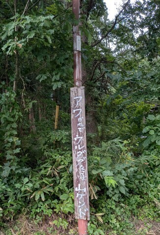 f:id:Swing:20260924005341j:image