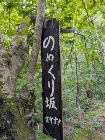 f:id:Swing:20260924005533j:image