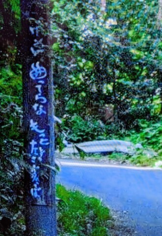 f:id:Swing:20260924194233j:image