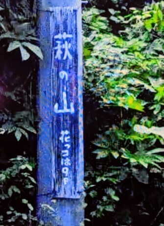 f:id:Swing:20260924194244j:image