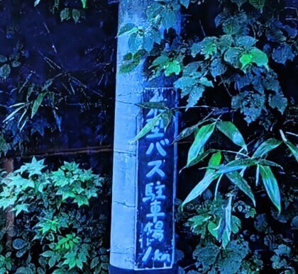 f:id:Swing:20260924194256j:image