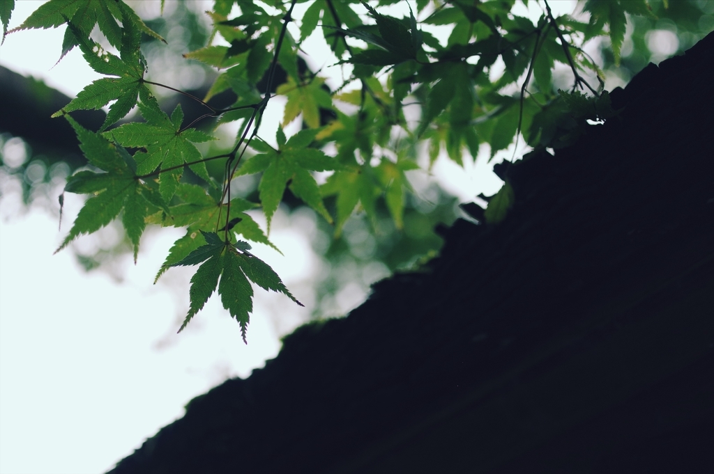 f:id:SyKeantarestall:20180919021245j:plain