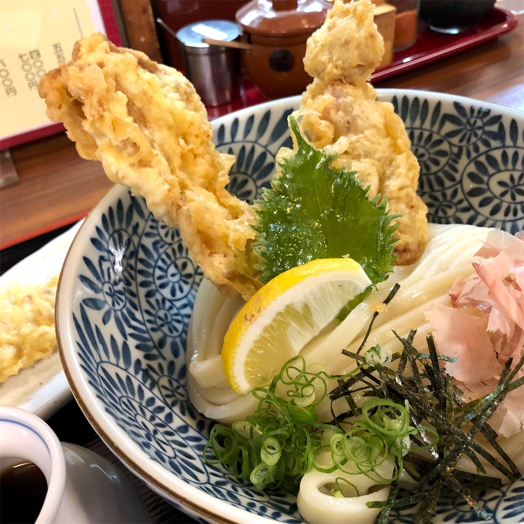 f:id:SyakugakuSen:20230206180117j:image