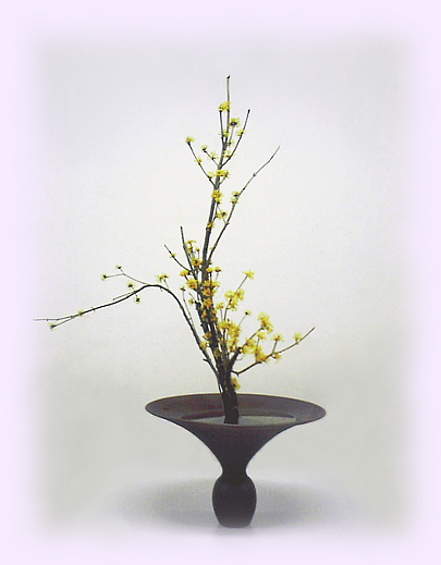 f:id:Syouka:20110310154041j:image