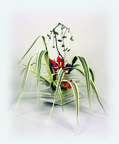 f:id:Syouka:20110416193647j:image