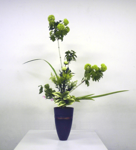 f:id:Syouka:20110519000426j:image