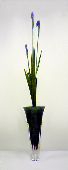 f:id:Syouka:20110529183727j:image