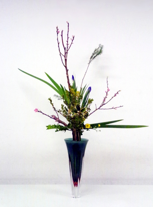 f:id:Syouka:20120221181353j:image:w300