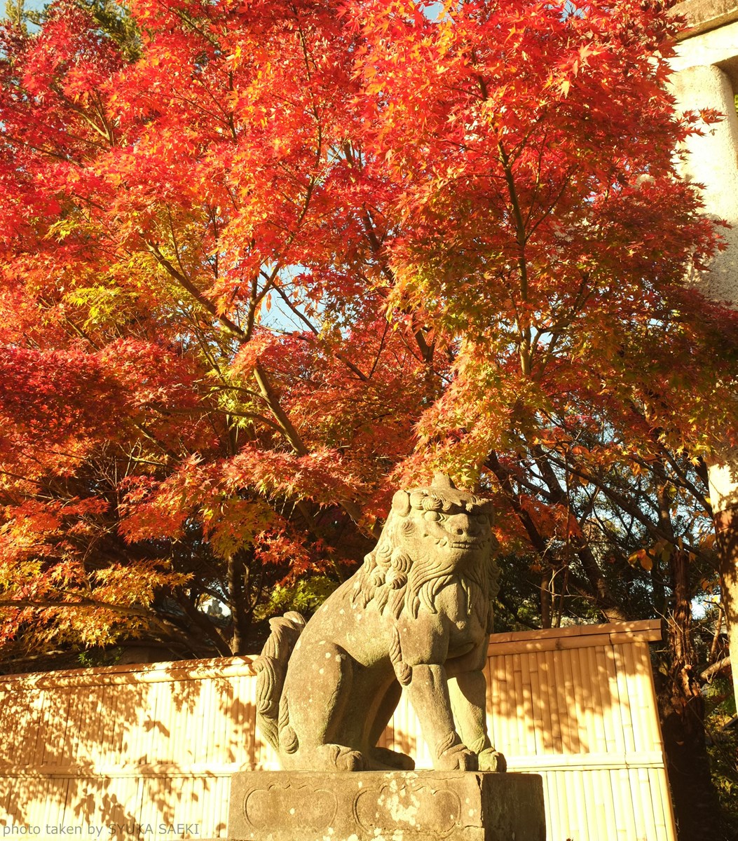 <img src=”kyouto.jpg” alt=”京都紅葉”/>