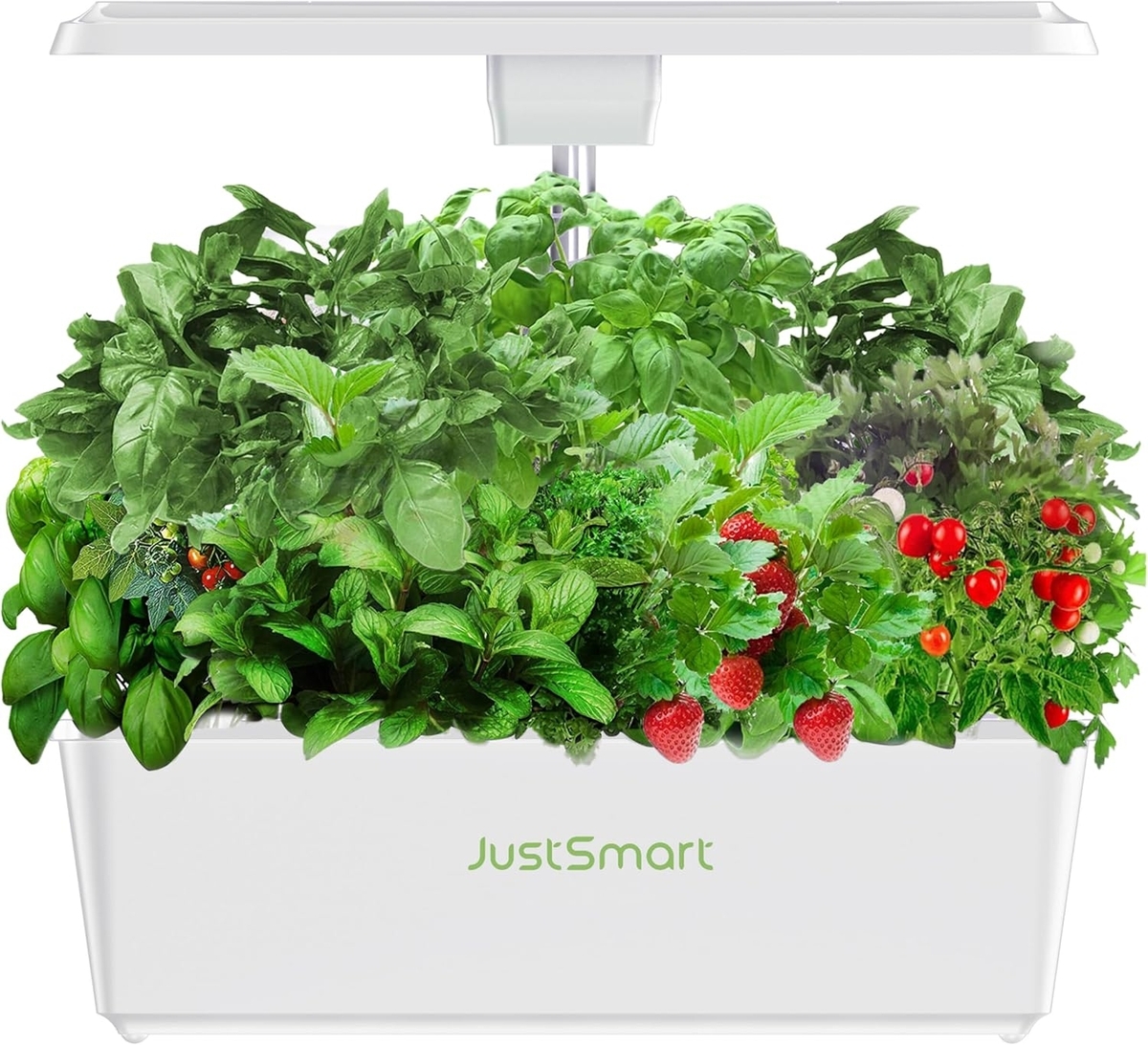 JustSmart 水耕栽培キット 室内 水耕栽培 おしゃれ 家庭菜園 キット LEDライト付き 自動水循環システム搭載 高さ調節可能 IGS-20SE ホワイト